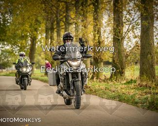 Herfstrit Moerzeke photo