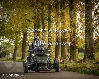 Herfstrit Moerzeke photo