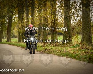 Herfstrit Moerzeke photo