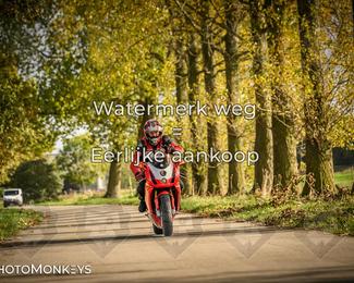 Herfstrit Moerzeke photo