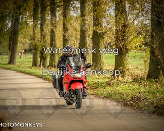 Herfstrit Moerzeke photo