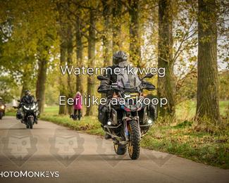 Herfstrit Moerzeke photo