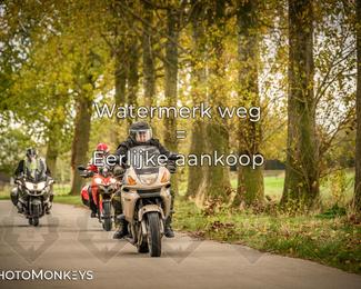 Herfstrit Moerzeke photo