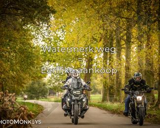 Herfstrit Moerzeke photo