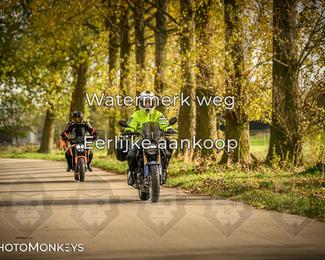 Autumn Ride Moerzeke photo