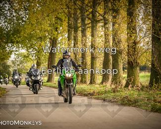 Herfstrit Moerzeke photo