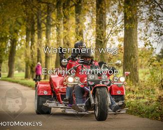 Herfstrit Moerzeke photo