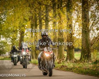 Herfstrit Moerzeke photo