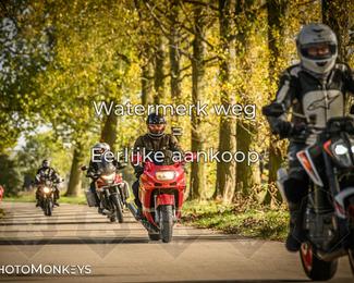 Herfstrit Moerzeke photo