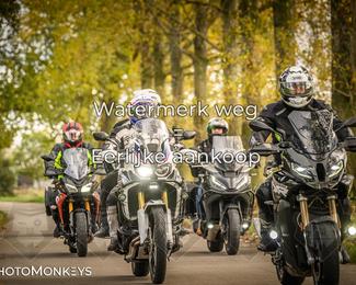 Herfstrit Moerzeke photo