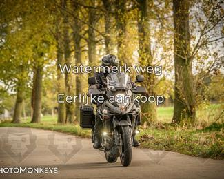 Herfstrit Moerzeke photo