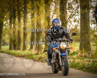 Herfstrit Moerzeke photo