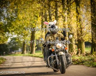 Autumn Ride Moerzeke photo