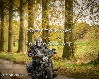 Herfstrit Moerzeke photo