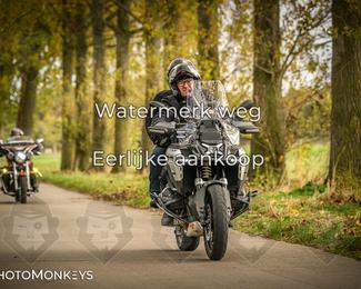 Herfstrit Moerzeke photo