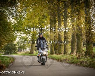 Herfstrit Moerzeke photo