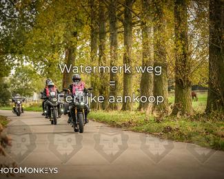 Herfstrit Moerzeke photo