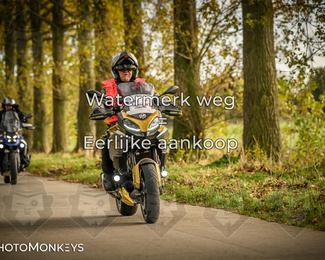 Herfstrit Moerzeke photo