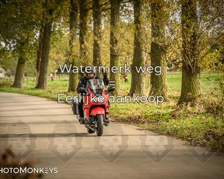 Herfstrit Moerzeke photo