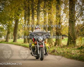 Herfstrit Moerzeke photo