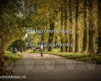 Herfstrit Moerzeke photo