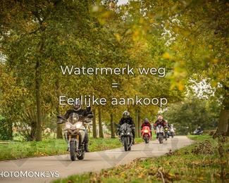 Herfstrit Moerzeke photo