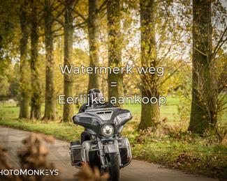 Herfstrit Moerzeke photo