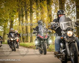 Herfstrit Moerzeke photo