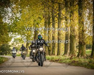 Herfstrit Moerzeke photo