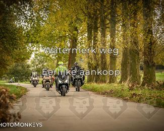 Herfstrit Moerzeke photo