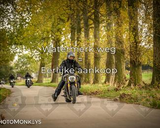 Herfstrit Moerzeke photo