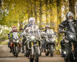 Herfstrit Moerzeke photo