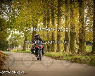 Herfstrit Moerzeke photo