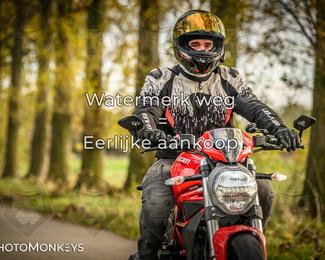 Herfstrit Moerzeke photo