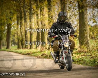 Herfstrit Moerzeke photo