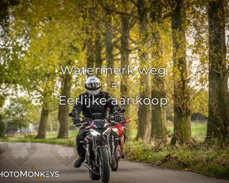 Herfstrit Moerzeke photo