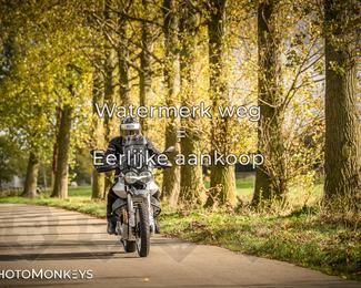 Herfstrit Moerzeke photo