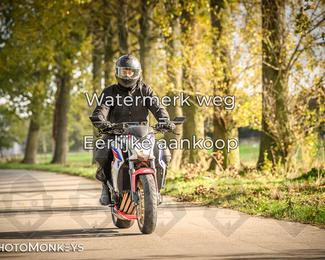 Herfstrit Moerzeke photo