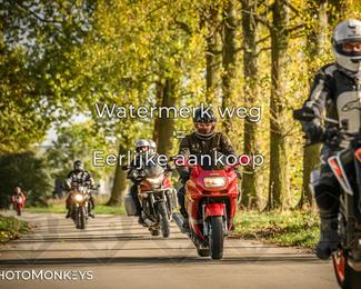 Herfstrit Moerzeke photo