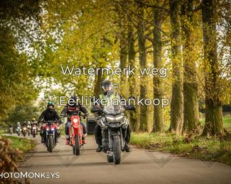 Herfstrit Moerzeke photo