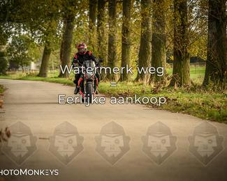 Herfstrit Moerzeke photo