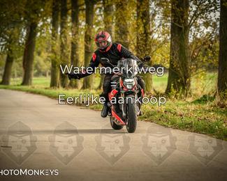 Herfstrit Moerzeke photo