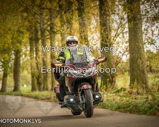 Herfstrit Moerzeke photo