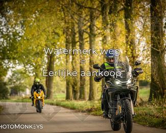 Herfstrit Moerzeke photo