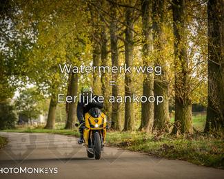 Herfstrit Moerzeke photo