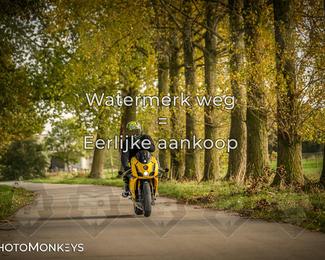 Herfstrit Moerzeke photo