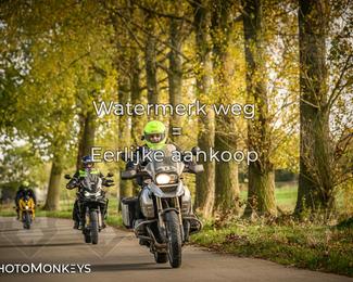 Herfstrit Moerzeke photo