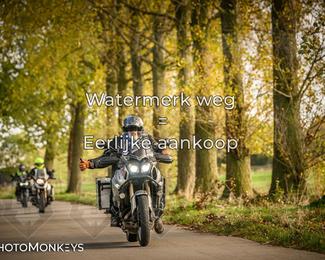 Herfstrit Moerzeke photo