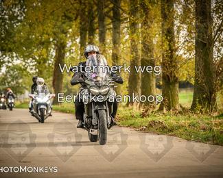 Herfstrit Moerzeke photo