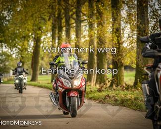 Herfstrit Moerzeke photo